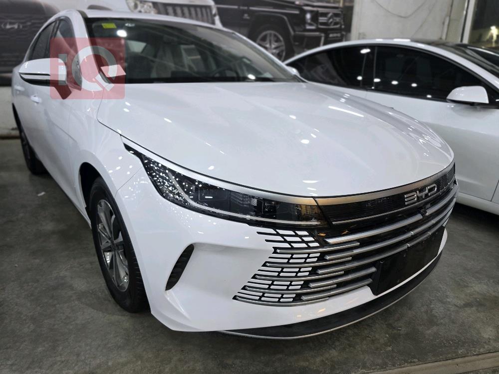 بي واي دي ديستروير 05